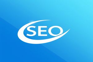 上海野猪SEO专家